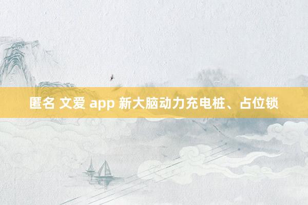 匿名 文爱 app 新大脑动力充电桩、占位锁