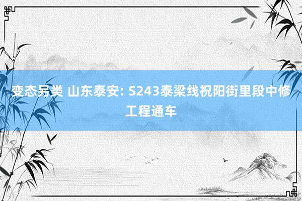 变态另类 山东泰安: S243泰梁线祝阳街里段中修工程通车