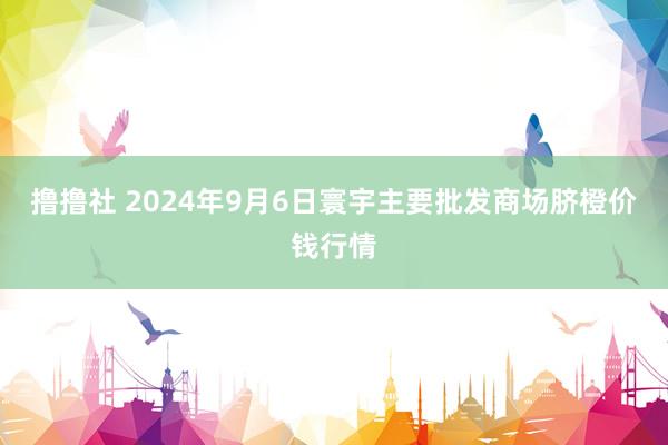 撸撸社 2024年9月6日寰宇主要批发商场脐橙价钱行情