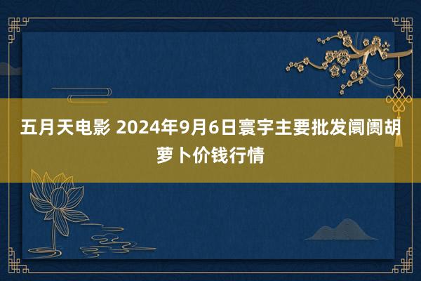 五月天电影 2024年9月6日寰宇主要批发阛阓胡萝卜价钱行情