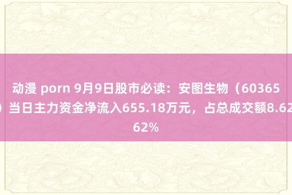 动漫 porn 9月9日股市必读：安图生物（603658）当日主力资金净流入655.18万元，占总成交额8.62%