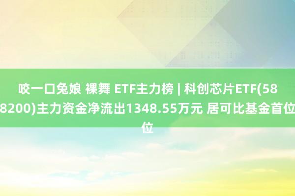 咬一口兔娘 裸舞 ETF主力榜 | 科创芯片ETF(588200)主力资金净流出1348.55万元 居可比基金首位