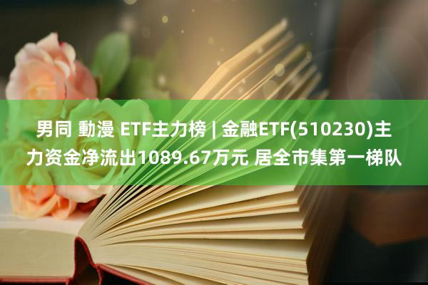 男同 動漫 ETF主力榜 | 金融ETF(510230)主力资金净流出1089.67万元 居全市集第一梯队