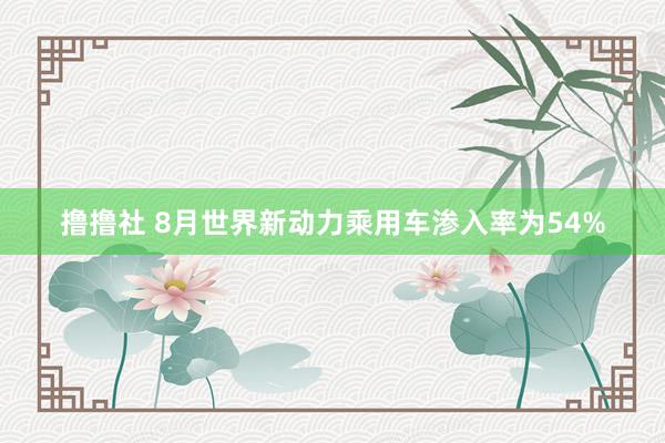 撸撸社 8月世界新动力乘用车渗入率为54%