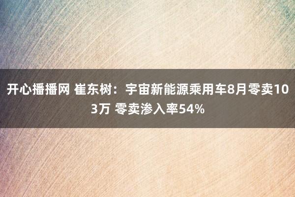 开心播播网 崔东树：宇宙新能源乘用车8月零卖103万 零卖渗入率54%