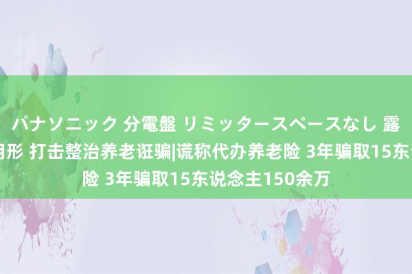 パナソニック 分電盤 リミッタースペースなし 露出・半埋込両用形 打击整治养老诳骗|谎称代办养老险 3年骗取15东说念主150余万