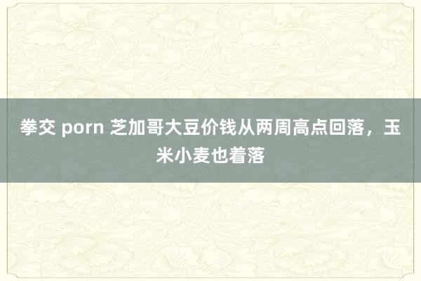 拳交 porn 芝加哥大豆价钱从两周高点回落，玉米小麦也着落