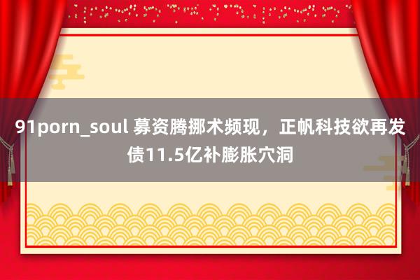 91porn_soul 募资腾挪术频现，正帆科技欲再发债11.5亿补膨胀穴洞