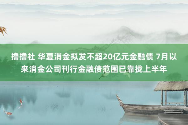 撸撸社 华夏消金拟发不超20亿元金融债 7月以来消金公司刊行金融债范围已靠拢上半年