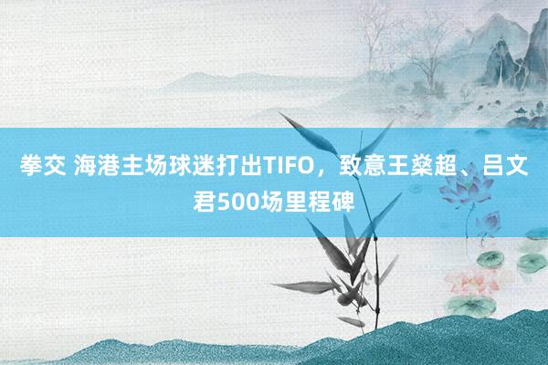 拳交 海港主场球迷打出TIFO，致意王燊超、吕文君500场里程碑