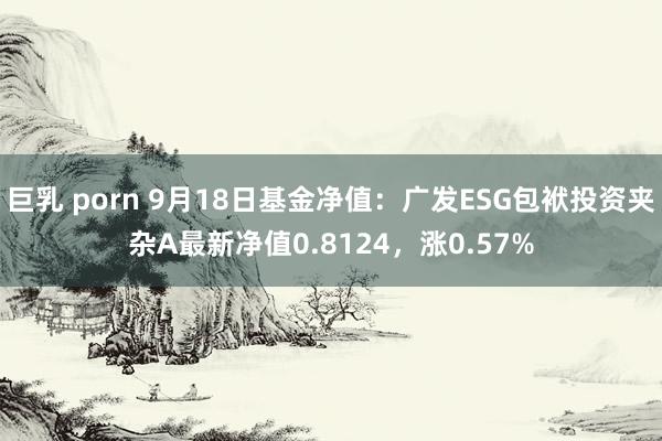 巨乳 porn 9月18日基金净值：广发ESG包袱投资夹杂A最新净值0.8124，涨0.57%