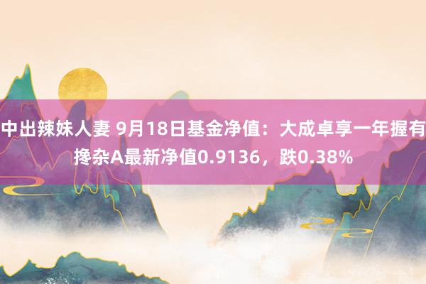 中出辣妹人妻 9月18日基金净值：大成卓享一年握有搀杂A最新净值0.9136，跌0.38%