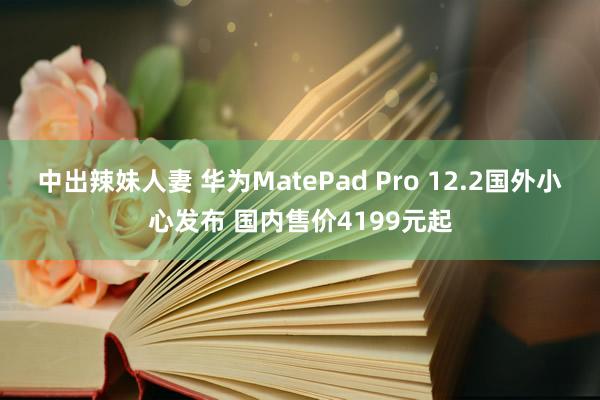 中出辣妹人妻 华为MatePad Pro 12.2国外小心发布 国内售价4199元起