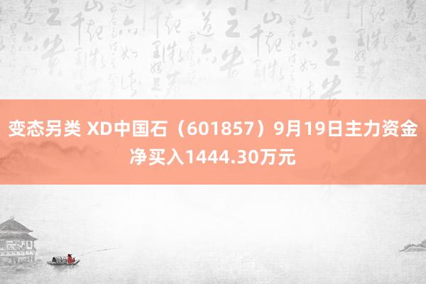 变态另类 XD中国石（601857）9月19日主力资金净买入1444.30万元