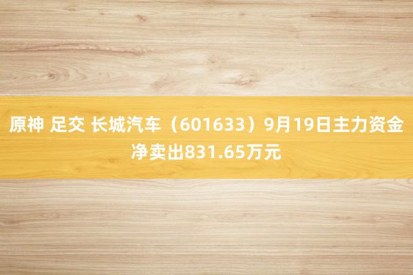 原神 足交 长城汽车（601633）9月19日主力资金净卖出831.65万元