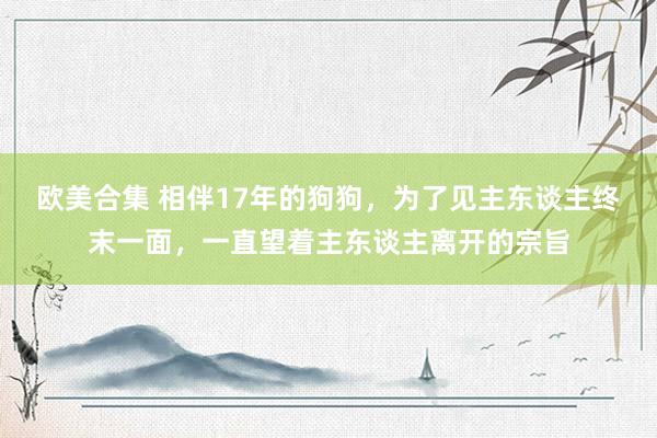 欧美合集 相伴17年的狗狗，为了见主东谈主终末一面，一直望着主东谈主离开的宗旨