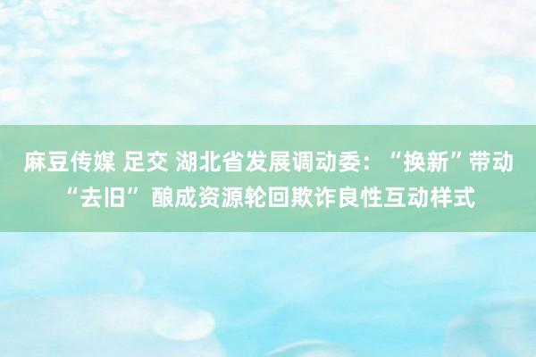 麻豆传媒 足交 湖北省发展调动委：“换新”带动“去旧” 酿成资源轮回欺诈良性互动样式