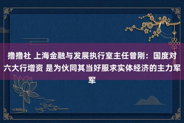 撸撸社 上海金融与发展执行室主任曾刚：国度对六大行增资 是为伙同其当好服求实体经济的主力军