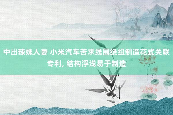 中出辣妹人妻 小米汽车苦求线圈绕组制造花式关联专利， 结构浮浅易于制造