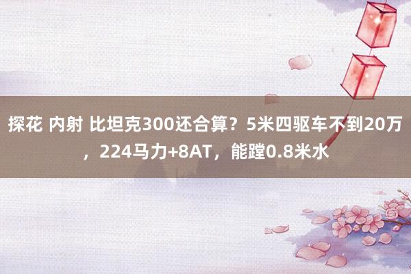 探花 内射 比坦克300还合算？5米四驱车不到20万，224马力+8AT，能蹚0.8米水