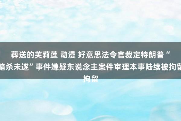 葬送的芙莉莲 动漫 好意思法令官裁定特朗普“暗杀未遂”事件嫌疑东说念主案件审理本事陆续被拘留