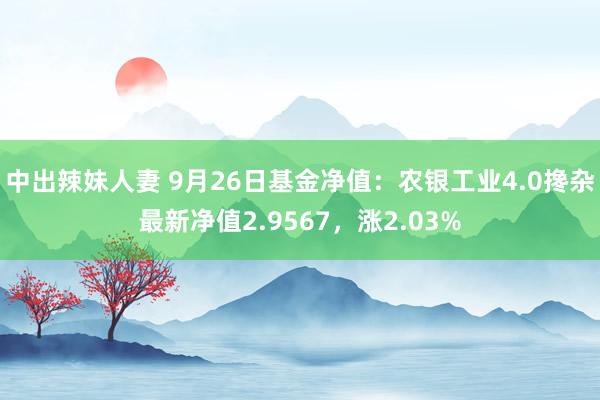 中出辣妹人妻 9月26日基金净值：农银工业4.0搀杂最新净值2.9567，涨2.03%