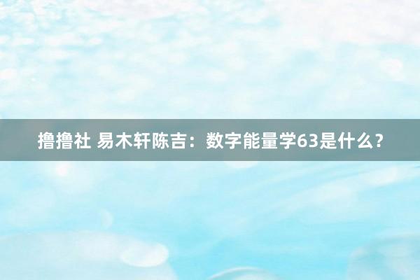 撸撸社 易木轩陈吉：数字能量学63是什么？