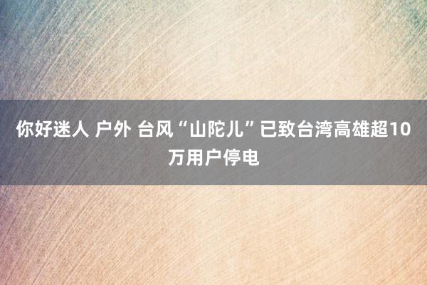 你好迷人 户外 台风“山陀儿”已致台湾高雄超10万用户停电