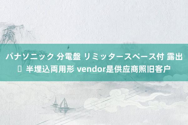 パナソニック 分電盤 リミッタースペース付 露出・半埋込両用形 vendor是供应商照旧客户