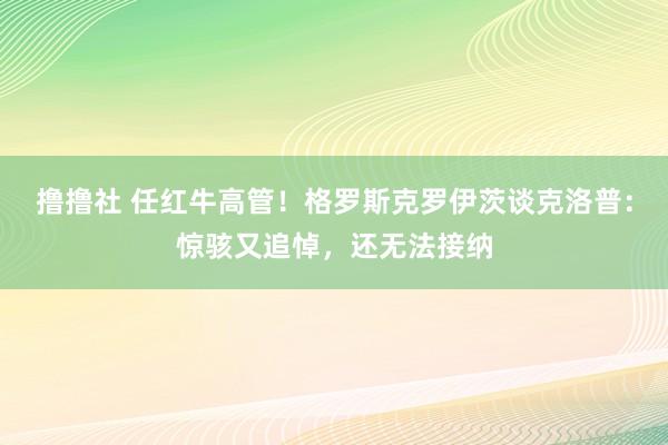 撸撸社 任红牛高管！格罗斯克罗伊茨谈克洛普：惊骇又追悼，还无法接纳