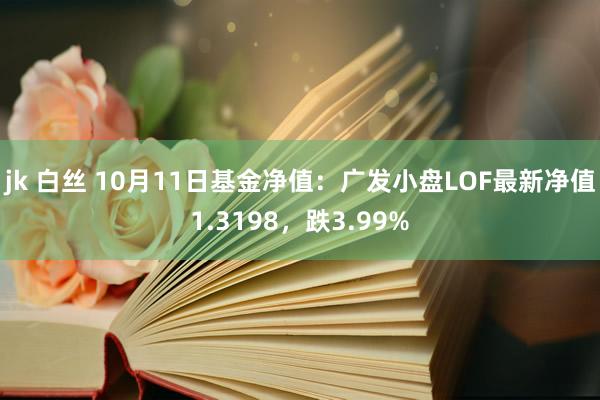 jk 白丝 10月11日基金净值：广发小盘LOF最新净值1.3198，跌3.99%