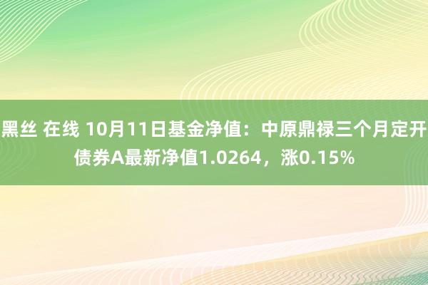 黑丝 在线 10月11日基金净值：中原鼎禄三个月定开债券A最新净值1.0264，涨0.15%