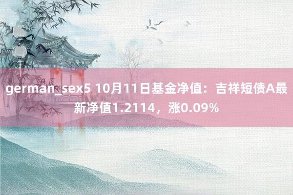 german_sex5 10月11日基金净值：吉祥短债A最新净值1.2114，涨0.09%