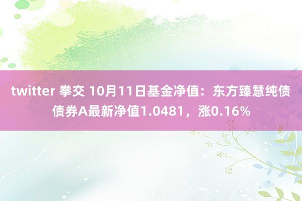 twitter 拳交 10月11日基金净值：东方臻慧纯债债券A最新净值1.0481，涨0.16%