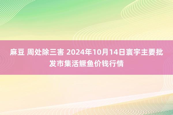 麻豆 周处除三害 2024年10月14日寰宇主要批发市集活鳜鱼价钱行情