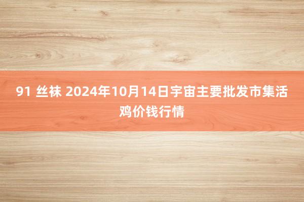 91 丝袜 2024年10月14日宇宙主要批发市集活鸡价钱行情