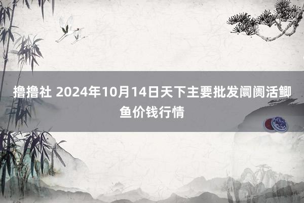 撸撸社 2024年10月14日天下主要批发阛阓活鲫鱼价钱行情