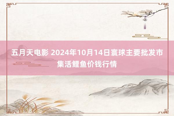 五月天电影 2024年10月14日寰球主要批发市集活鲤鱼价钱行情