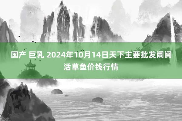 国产 巨乳 2024年10月14日天下主要批发阛阓活草鱼价钱行情