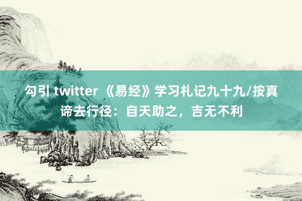 勾引 twitter 《易经》学习札记九十九/按真谛去行径：自天助之，吉无不利