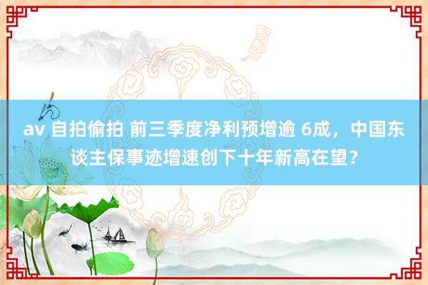 av 自拍偷拍 前三季度净利预增逾 6成，中国东谈主保事迹增速创下十年新高在望？