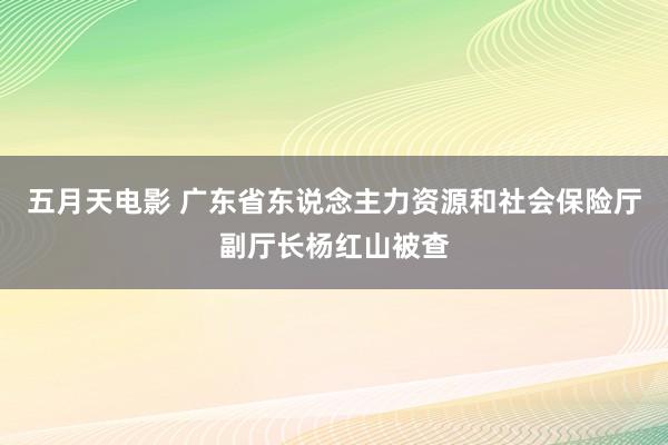 五月天电影 广东省东说念主力资源和社会保险厅副厅长杨红山被查