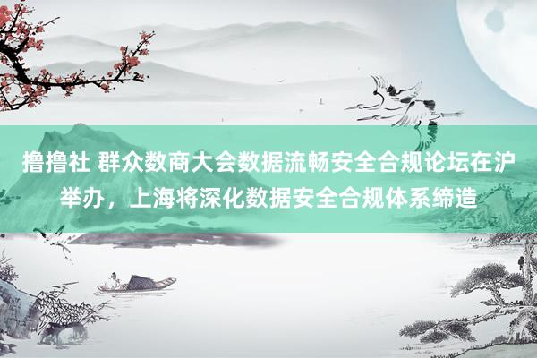 撸撸社 群众数商大会数据流畅安全合规论坛在沪举办，上海将深化数据安全合规体系缔造