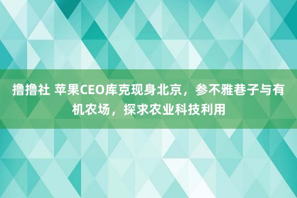 撸撸社 苹果CEO库克现身北京，参不雅巷子与有机农场，探求农业科技利用