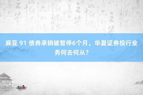 麻豆 91 债券承销被暂停6个月，华夏证券投行业务何去何从？