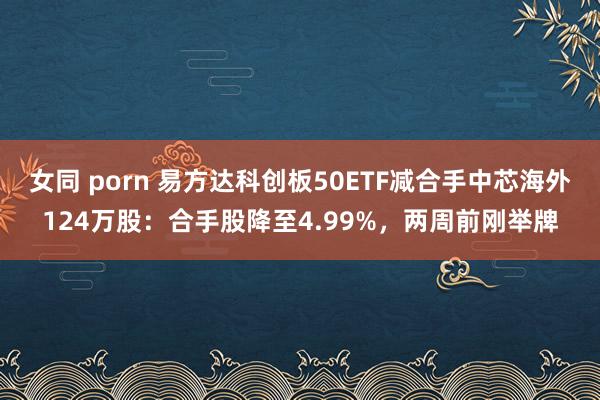 女同 porn 易方达科创板50ETF减合手中芯海外124万股：合手股降至4.99%，两周前刚举牌