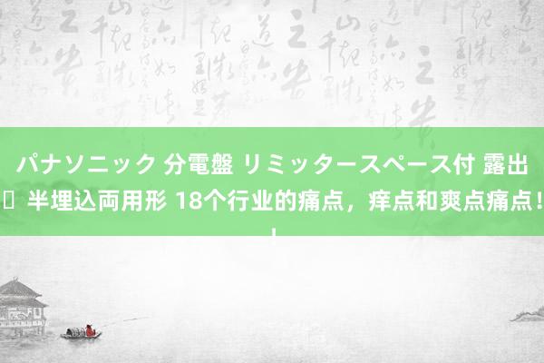 パナソニック 分電盤 リミッタースペース付 露出・半埋込両用形 18个行业的痛点，痒点和爽点痛点！