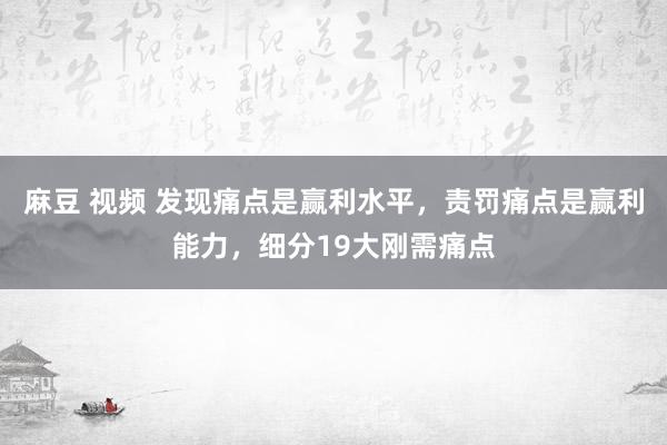 麻豆 视频 发现痛点是赢利水平，责罚痛点是赢利能力，细分19大刚需痛点