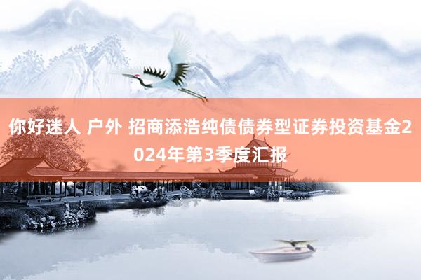 你好迷人 户外 招商添浩纯债债券型证券投资基金2024年第3季度汇报