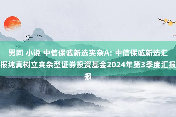 男同 小说 中信保诚新选夹杂A: 中信保诚新选汇报纯真树立夹杂型证券投资基金2024年第3季度汇报